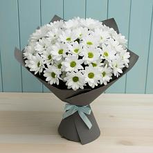 Букет цветов из:  Хризантемы в Акташ